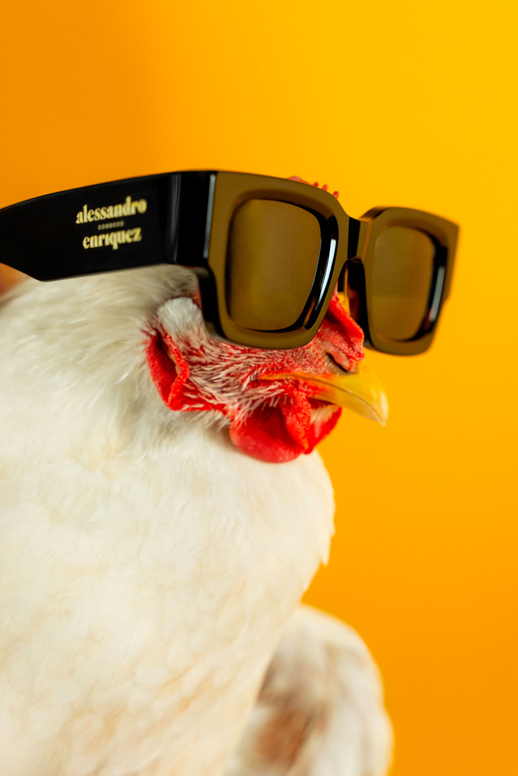 Alessandro-Enriquez-x-Spektre-Eyewear-13